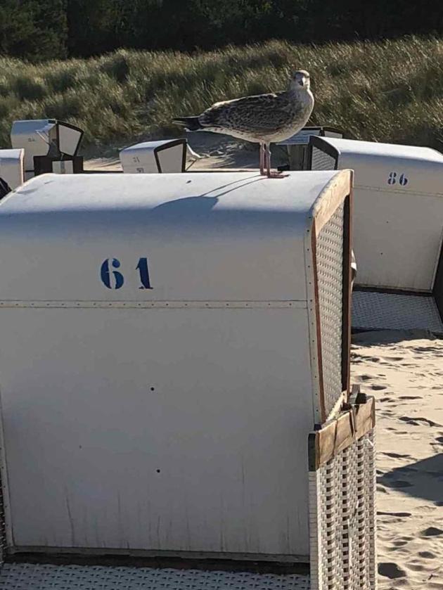 Koserow Am Strande Esterno foto